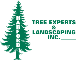 Harford Tree Experts & Landscaping Inc.