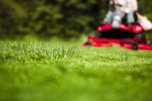 Landscaper
