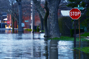 Flooded Trees