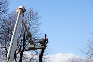 Tree Pruning