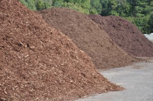Mulch