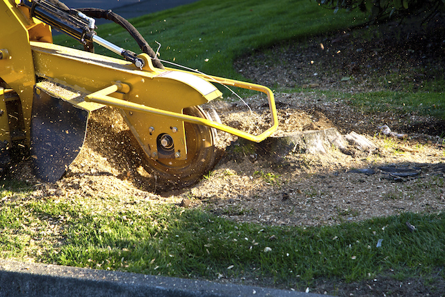The Many Benefits of Stump Grinding