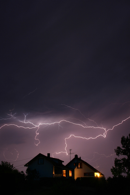 How an Expert Tree Removal Service Can Assist with a Tree Struck by Lightning  