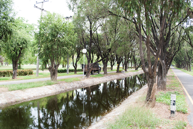 What Exactly is a Swale and How Can It Prevent Yard Flooding?