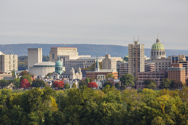 Why Tree Planting Helps Our Cities