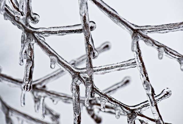 How To Remove Ice off Your Property's Trees