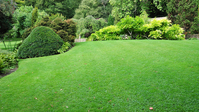 Residential Landscaping Ideas to Implement within Your Property