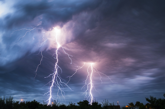 How to Take Care for Your Trees After a Dangerous Thunderstorm
