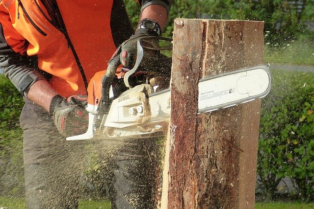 The Many Dangers of DIY Tree Pruning