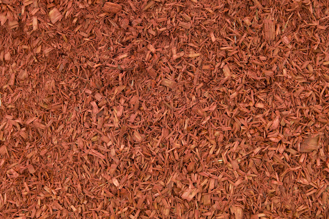 Is Organic Mulch That Much Better for My Trees?