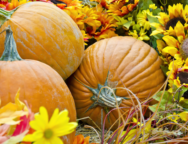 Essential Landscaping Tips for This Fall