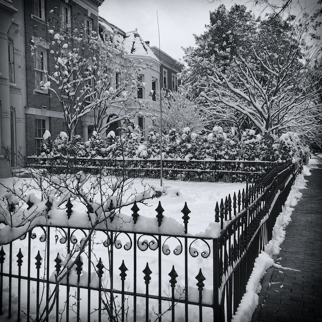 The Best Winter Landscaping Tips for Your Property  