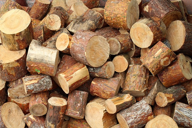 When You Should Consider Cutting Down your Trees
