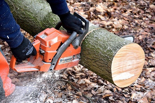 A Handy Guide for Picking a Tree Cutting Company