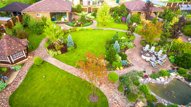 How to Properly Integrate Trees into Your Landscape Design