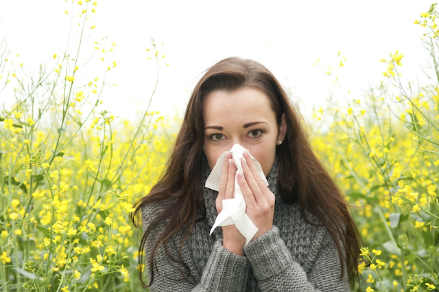 The Right Trees to Fight Back Against Pollen