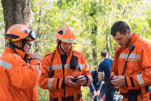 The Main Dangers of Hiring Unlicensed Tree Specialists