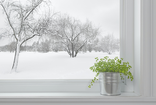What Goes into Winter Landscaping for Your Property