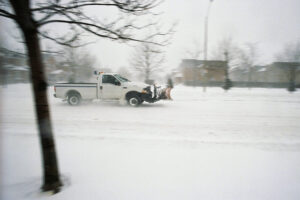 Why Winter is a Great Time for Tree Removal Services