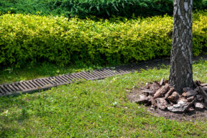 The Best March Landscaping Tips