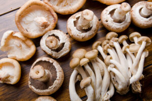 How to Handle Mushrooms Growing Around Your Trees