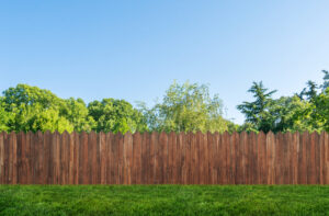 How to Discover a Reliable Tree Care Company