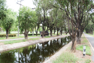 What is a Swale and Why Your Property Could Benefit From One