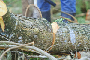 Usual Tree Pruning Mistakes and How to Avoid Them