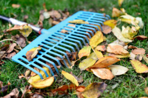 How to Deal with Fallen Leaves on Your Landscape
