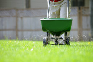 How Important is Tree Fertilization?