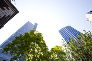 The Best Tree Disease Treatments