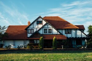 Aspects to Consider While Picking a Tree for Your Yard harford tree