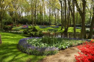 The Various Ways a Tree Could Damage Your Home