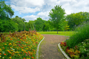Which Season is Best For Removing Trees?