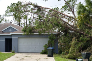 Why You Should Leave Storm Damage Cleaning to the Tree Professionals