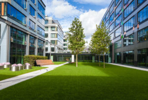 The Positive Impact Commercial Tree Services Has on Your Business