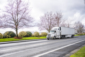 Where to Find Spring Tree Removal Services?