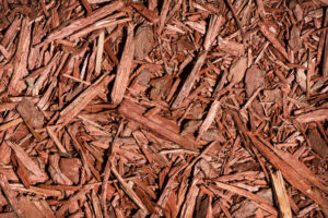 Handy Tips for Mulching Your Trees
