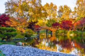 Why Now is the Time to Consider Your Fall Tree Care