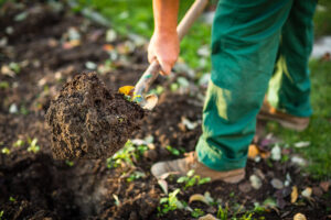 How to Keep Your Landscape Soil Healthy