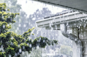 What Causes Trees to Fall After a Heavy Rainfall? 
