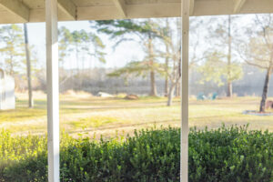 When Is It Time to Call for Expert Tree Care Services?