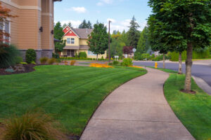 Key Signs It Is Time for a Tree Risk Assessment