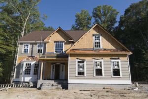 Smartest Ways to Protect Your Trees During Construction 
