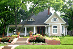 What Do Your Property’s Trees Need to Stay Healthy? 
