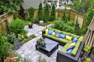 Low Maintenance Evergreens That Are Perfect for Privacy