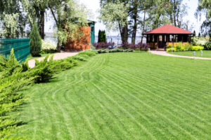 Ways to Keep Your Landscape Strong During Summer Droughts  
