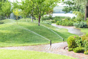 Some of the Best Trees to Grow on Hillside Properties