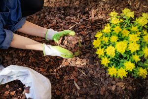 Key Reasons Why Mulching is Important All Year Long
