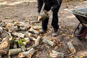 Why Stump Grinding Matters and What to Expect
